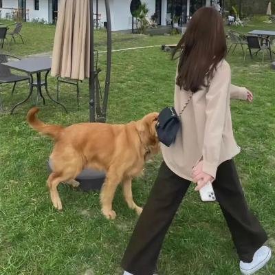 珍妮的战争
